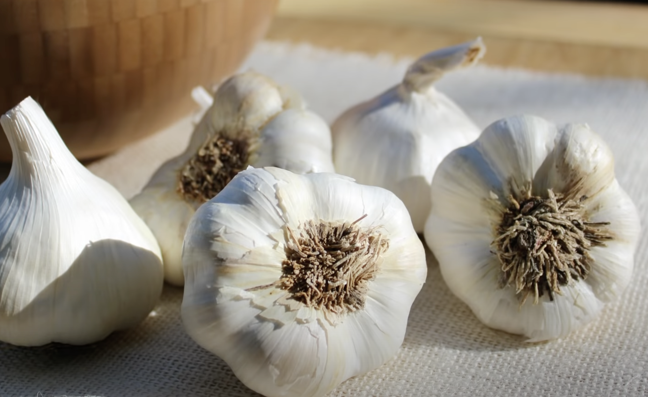 GARLIC : Uses and Amazing Health Benefits