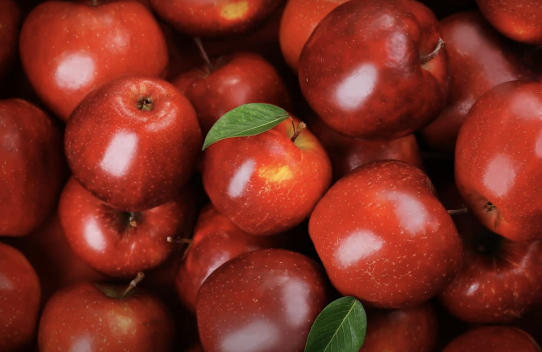 Can we Eat Apples At Night In Ayurveda ?